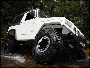 CJ5 1955 ''Pitbull'': GM 6cc 4.1 Turbo, 38.5x14.5-c-c3-b3pia-20de-20engesa-204x4ecia-20151-20040.jpg