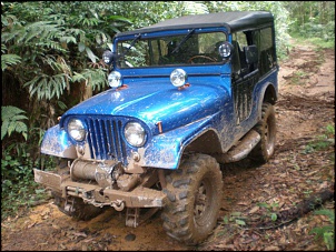 Jeep CJ-5 1956-trilha-de-jeep-29.03.08-008.jpg