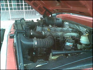 RURAL 75 - FOrDINHA V8 292-19052010-009-.jpg