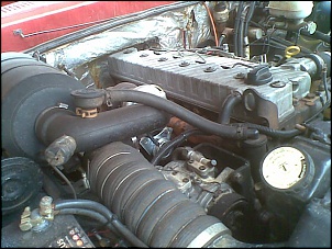 RURAL 75 - FOrDINHA V8 292-19052010-010-.jpg