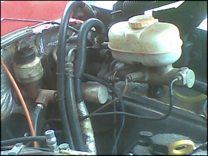 RURAL 75 - FOrDINHA V8 292-19052010-011-.jpg