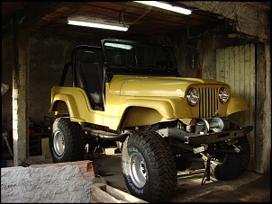 Cj5 73 - &quot;caterpillar&quot;-dsc01590.jpg