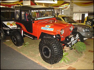 CJ5 1955 ''Pitbull'': GM 6cc 4.1 Turbo, 38.5x14.5-dsc02151.jpg