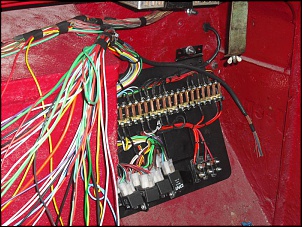 CJ5 - Pomodoro-festa-007.jpg