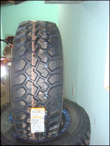 Engesa FI 86 : &quot;LAGARTAURO&quot;-dsc01516.jpg