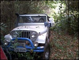 CJ 5 1977 Hakuna Matata-foto0010.jpg