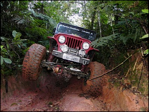 CJ5 1955 ''Pitbull'': GM 6cc 4.1 Turbo, 38.5x14.5-t-12-.jpg