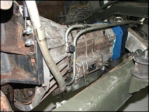 Willys - Maestro-dscf7571.jpg