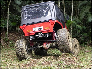 CJ5 1955 ''Pitbull'': GM 6cc 4.1 Turbo, 38.5x14.5-trilha-jeep-leitor-1-.jpg