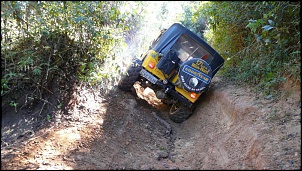 Jeep Willys CJ5 - Hefestos-p1050874.jpg