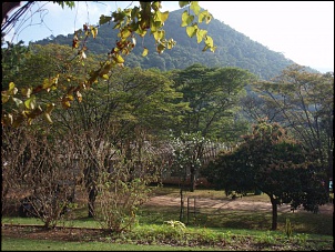 JPX 96 ap 2.0 mi-sao-pedro-001.jpg