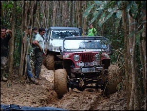 CJ5 1955 ''Pitbull'': GM 6cc 4.1 Turbo, 38.5x14.5-pitbull-1-.jpg