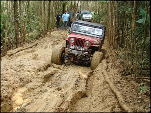 CJ5 1955 ''Pitbull'': GM 6cc 4.1 Turbo, 38.5x14.5-pitbull-2-.jpg