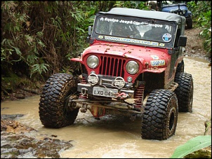 CJ5 1955 ''Pitbull'': GM 6cc 4.1 Turbo, 38.5x14.5-pitbull-5-.jpg
