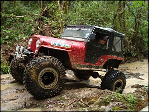 CJ5 1955 ''Pitbull'': GM 6cc 4.1 Turbo, 38.5x14.5-pitbull-7-.jpg