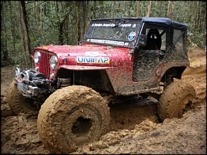 CJ5 1955 ''Pitbull'': GM 6cc 4.1 Turbo, 38.5x14.5-pitbull-9-.jpg