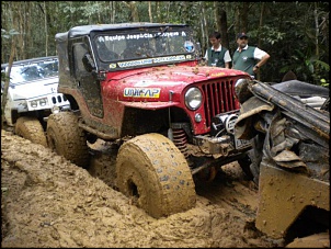 CJ5 1955 ''Pitbull'': GM 6cc 4.1 Turbo, 38.5x14.5-pitbull-13-.jpg