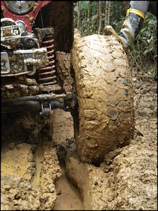 CJ5 1955 ''Pitbull'': GM 6cc 4.1 Turbo, 38.5x14.5-pitbull-17-.jpg
