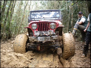 CJ5 1955 ''Pitbull'': GM 6cc 4.1 Turbo, 38.5x14.5-pitbull-16-.jpg
