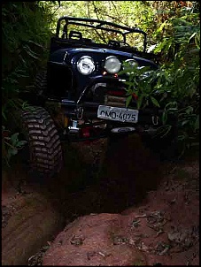 CJ 58' &quot;Devasso&quot;-aranha_485.jpg