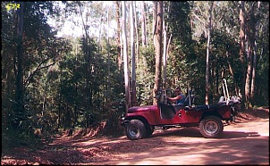 Cj6 1970 - b-bernardogpatril.jpg