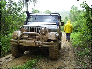CJ 5 1977 Hakuna Matata-1.jpg