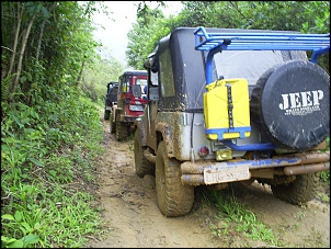 CJ 5 1977 Hakuna Matata-2.jpg