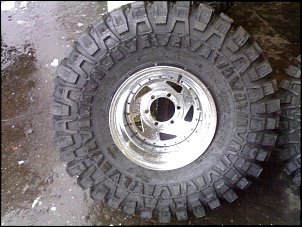 -25032010425.jpg