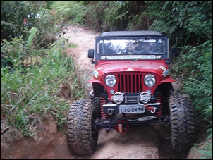 CJ5 1955 ''Pitbull'': GM 6cc 4.1 Turbo, 38.5x14.5-6.jpg