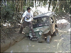 -d_8_150.jpg