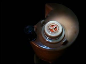 Troller 2000 Vortec 4.3L V6 - Taxi 37&quot;-img_1254.jpg
