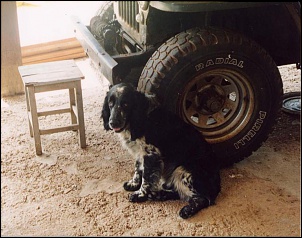 Jeep Willys CJ3A 1951 - Xico Mendes...-jeep_willys_cj3a_1951_c.jpg