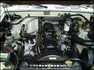 Toyota HILUX CD 1995-dsc02854.jpg