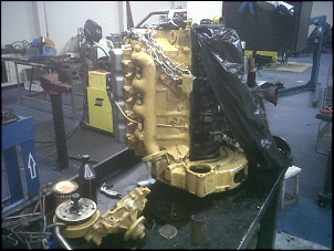 5L-img00013-20110320-1747.jpg