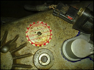 Wrangler Ninho Fortificado-23052011486.jpg
