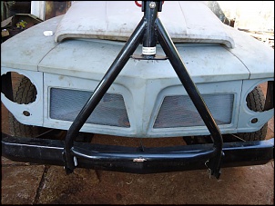 Pickup Willys 1966 - V8 272-dsc00390.jpg