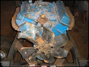F75 1979 - Gaiola das Loucas - Vortec 4.3L V6-p1150008.jpg