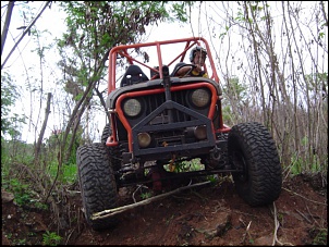 Raptor Crawling-julio_016_202.jpg