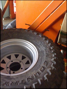 F1000 4x4 - Milona-08072010112.jpg