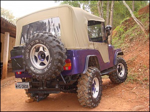 bago roxo - CJ5 - 1976-dsc02630.jpg