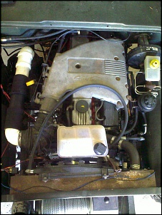 Willys - Maestro-09072011536.jpg