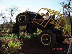 CJ 5 /74  &quot;Coyote&quot;-dsc001731_481.jpg