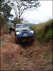 CJ 5 1977 Hakuna Matata-s5030834.jpg