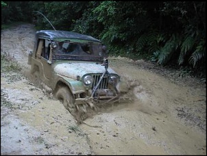 CJ5/73 - Wooden Jeep ( Reborn )-foto-jeep-1.jpg