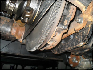 Jeep xaropinha-jx-749.jpg