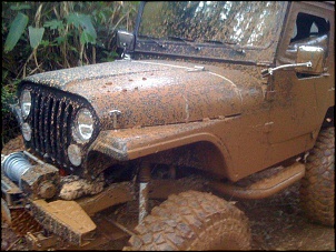 Jeep Willys CJ5 1970-320441_1743941337458_1806502278_1175566_2785204_n.jpg