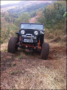 CJ5 - V6 4.3 Vortec-img_0880.jpg