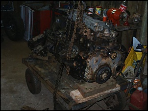 -s2010012.jpg