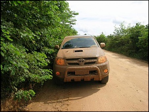 Chegando mais uma F-1000. A &quot;nossa&quot; EFE-1000.-hilux-wdi_plot_marron-1-.jpg