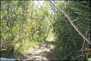 Engesa F3 Edu - Jabiraca-sale-trilha-002.jpg